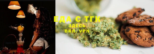 МДПВ Пересвет