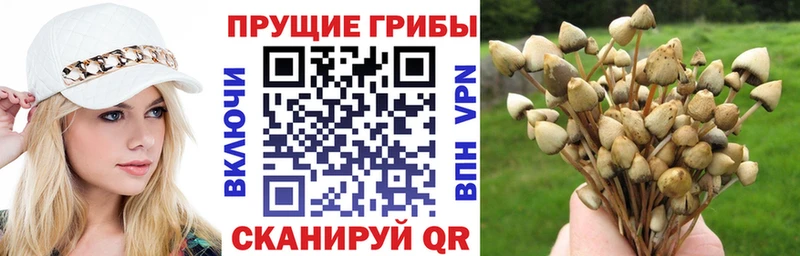 Галлюциногенные грибы прущие грибы магазин наркотиков Яхрома